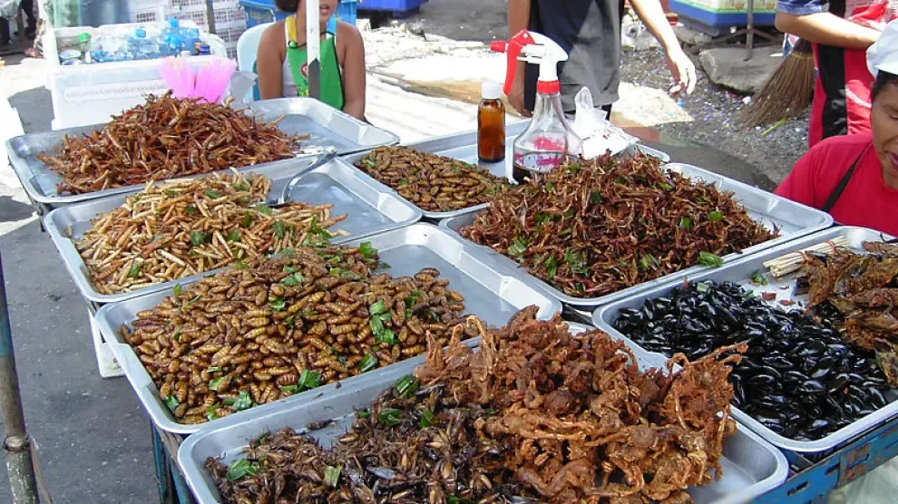 mercado de insectos