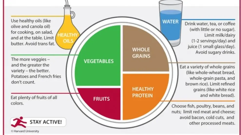 healthy eating plate