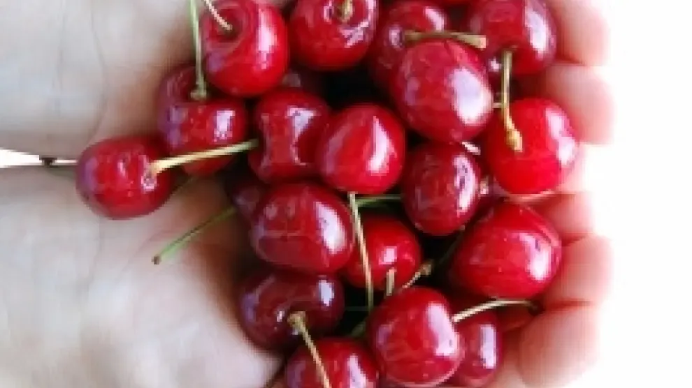 cerezas