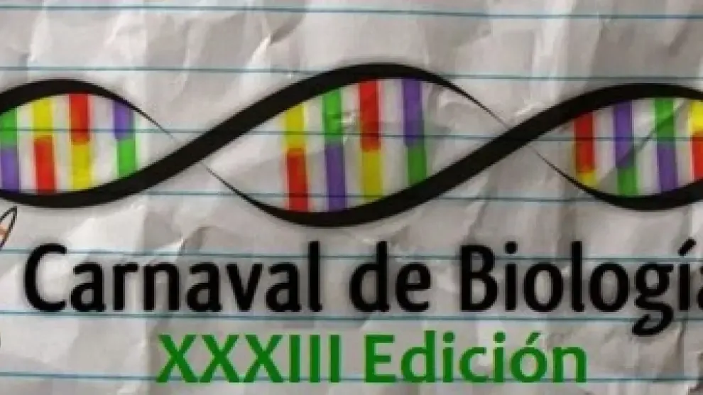 biocarnaval xxxiii