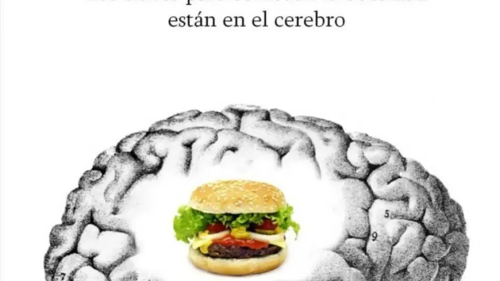 el cerebro obeso